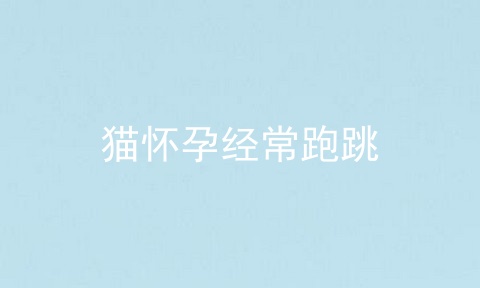 猫怀孕经常跑跳