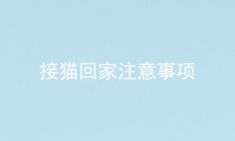 接猫回家注意事项