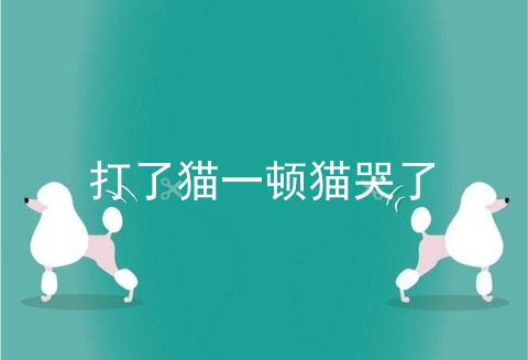 打了猫一顿猫哭了