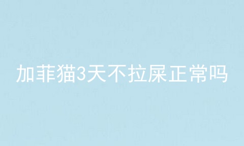 加菲猫3天不拉屎正常吗
