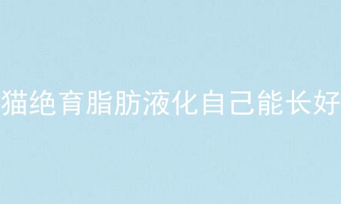 母猫绝育脂肪液化自己能长好吗