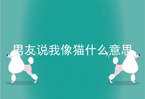 男友说我像猫什么意思