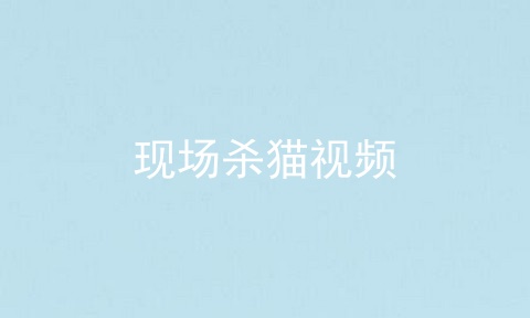 现场杀猫视频