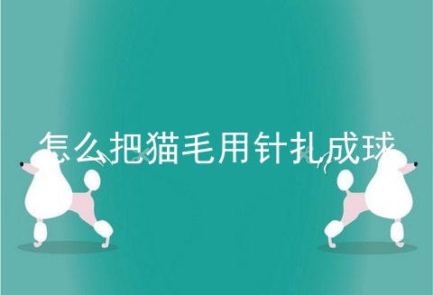 怎么把猫毛用针扎成球