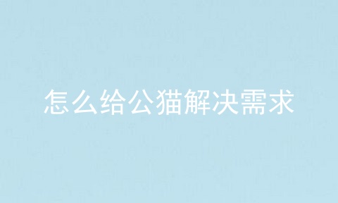 怎么给公猫解决需求