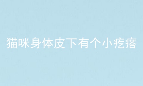 猫咪身体皮下有个小疙瘩
