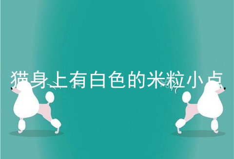 猫身上有白色的米粒小点