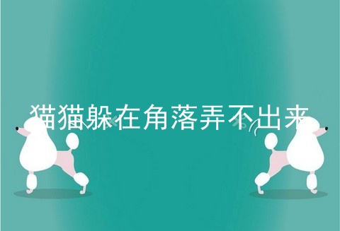 猫猫躲在角落弄不出来
