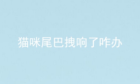 猫咪尾巴拽响了咋办