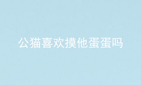 公猫喜欢摸他蛋蛋吗