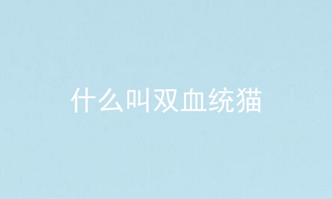 什么叫双血统猫