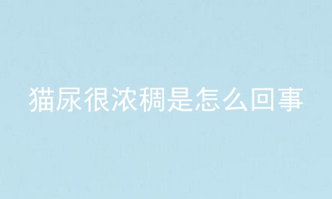 猫尿很浓稠是怎么回事