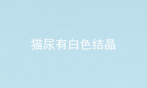 猫尿有白色结晶