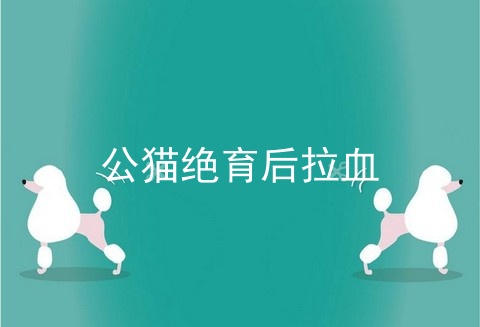 公猫绝育后拉血