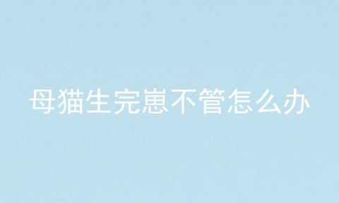 母猫生完崽不管怎么办