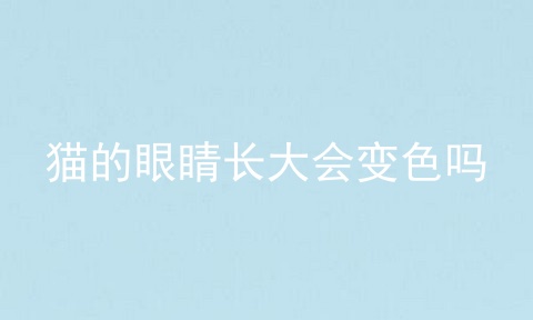 猫的眼睛长大会变色吗