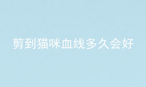 剪到猫咪血线多久会好