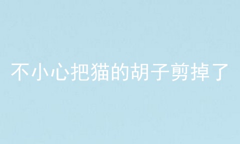 不小心把猫的胡子剪掉了