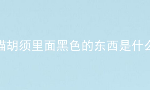 猫胡须里面黑色的东西是什么