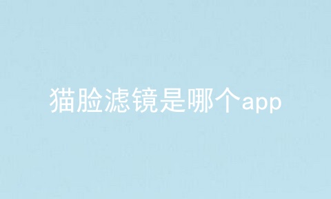 猫脸滤镜是哪个app
