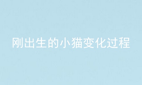 刚出生的小猫变化过程
