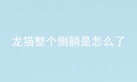 龙猫整个侧躺是怎么了