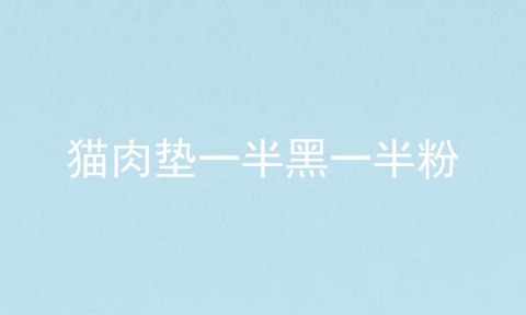 猫肉垫一半黑一半粉