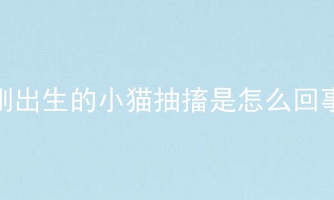 刚出生的小猫抽搐是怎么回事