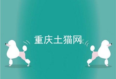重庆土猫网