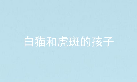 白猫和虎斑的孩子