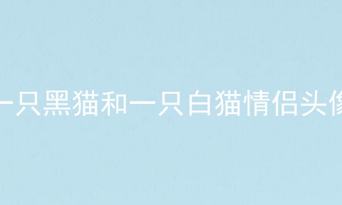 一只黑猫和一只白猫情侣头像