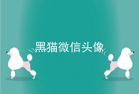 黑猫微信头像