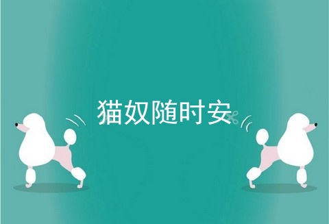 猫奴随时安