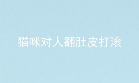 猫咪对人翻肚皮打滚