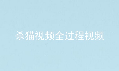 杀猫视频全过程视频
