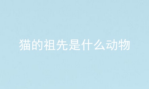 猫的祖先是什么动物