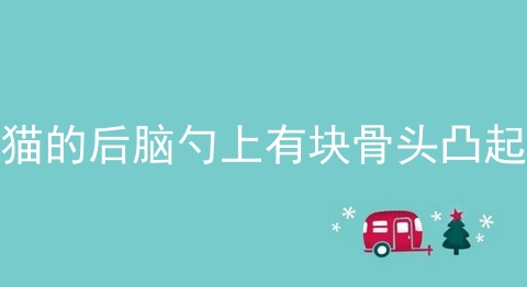 猫的后脑勺上有块骨头凸起