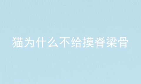 猫为什么不给摸脊梁骨