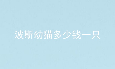 波斯幼猫多少钱一只