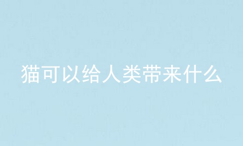 猫可以给人类带来什么