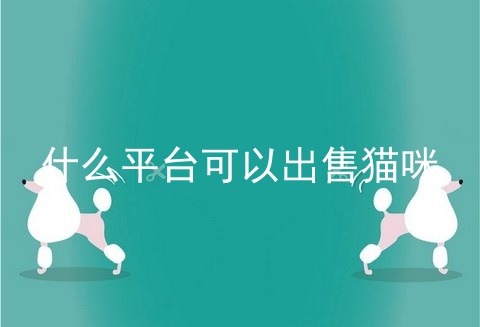 什么平台可以出售猫咪