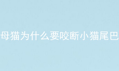 母猫为什么要咬断小猫尾巴