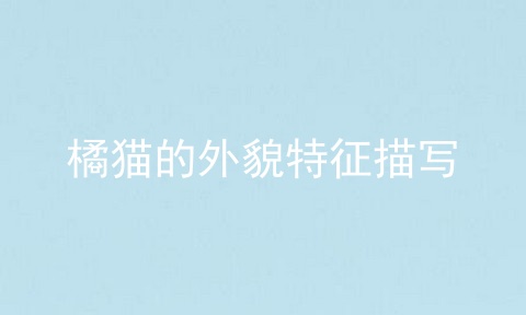 橘猫的外貌特征描写