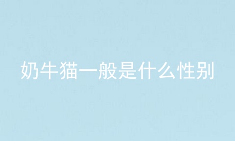 奶牛猫一般是什么性别