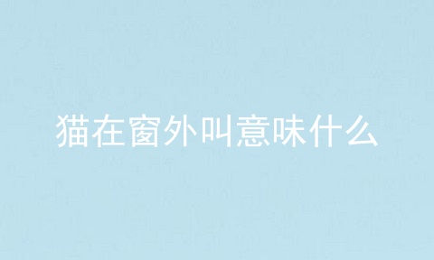 猫在窗外叫意味什么