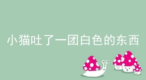 小猫吐了一团白色的东西