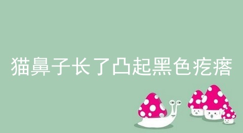 猫鼻子长了凸起黑色疙瘩