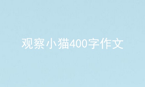 观察小猫400字作文