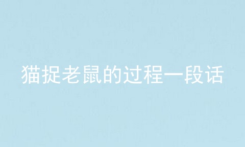 猫捉老鼠的过程一段话