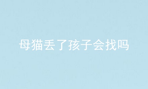 母猫丢了孩子会找吗